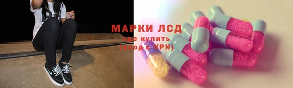 прущая мука Гвардейск