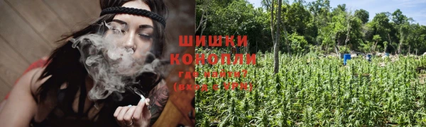 ALPHA-PVP Гатчина