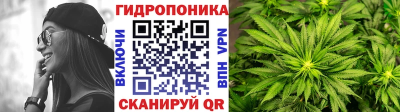 Бошки Шишки Amnesia Яровое